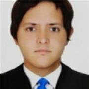 Profesor de ciencias sociales, artística, pintura y pedagogía